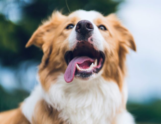 imgi_34_hendo-wang-v0c8T0ANY_Q-unsplash-scaled imgi_34_hendo-wang-v0c8T0ANY_Q-unsplash-scaled